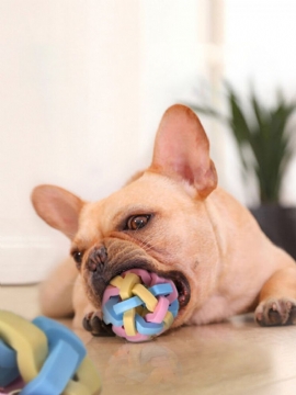 1 Stk Gummi Hundeleker Mini Søt Fargerik Ball Interaktive Scratcher Tenner Kjæledyr Forsyninger For Hunder