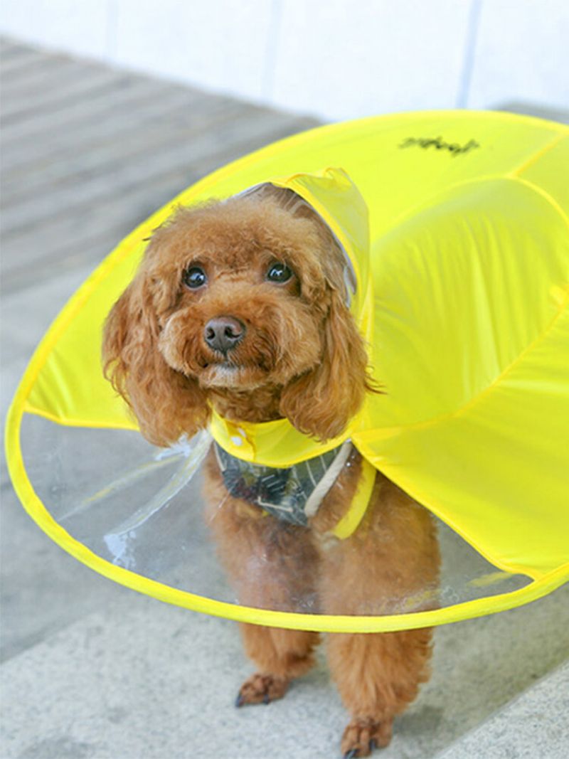 2 Farger Pet Dog Ufo-form Vanntett Regnfrakk Dog Raincape