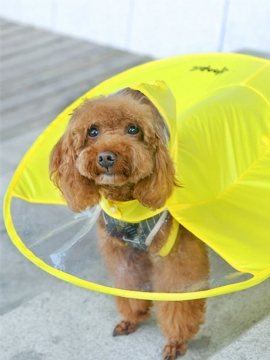 2 Farger Pet Dog Ufo-form Vanntett Regnfrakk Dog Raincape