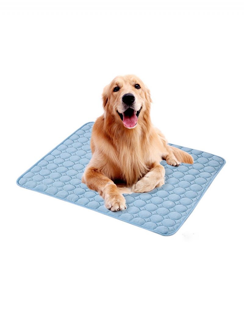 3 Farger Ice Silk Pet Sommer Kjølematte Hund Katt Ice Cool Mat Pad