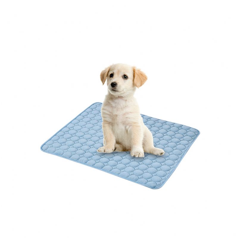 3 Farger Ice Silk Pet Sommer Kjølematte Hund Katt Ice Cool Mat Pad