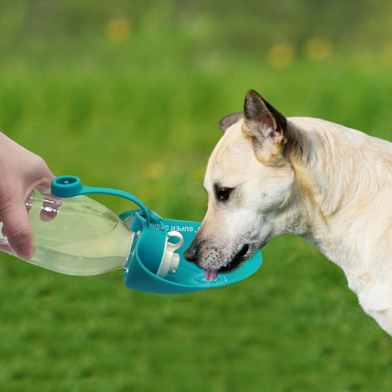 650 Ml Sport Portable Leaf Pet Hund Vannflaske Utvidbar Bpa-fri Silikon Reise Hundeflasker Bolle