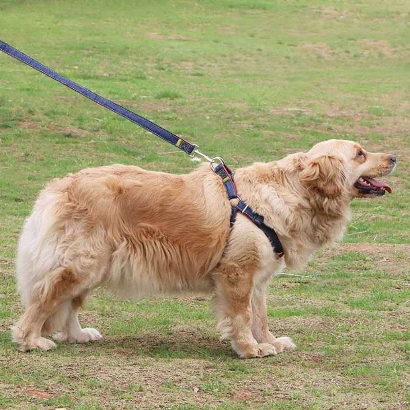 7-farget Brystrygg Trekktau For Hunder Rund Hundekjede Kjæledyrprodukter