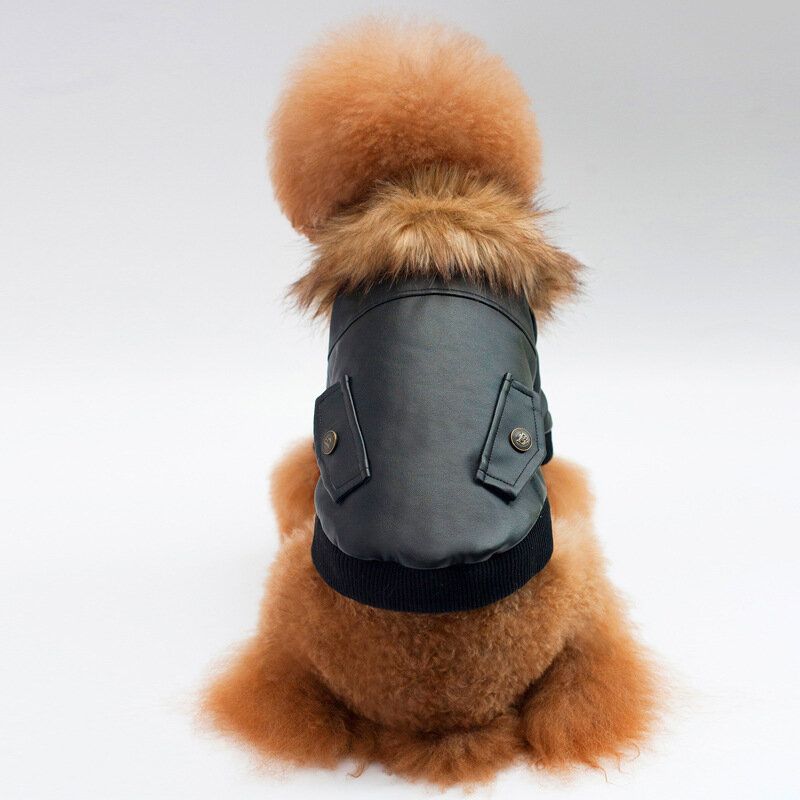 Fashion Style Lær Hundeklær Kostyme Hundefrakk Jakke Pet Dog Pelshalsbånd