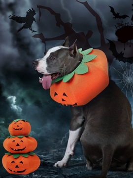 Halloween Pumpkin Dog Dress Up Multifunksjonell Hundehalsbånd Kjæledyr Cat Party Transformation Costume