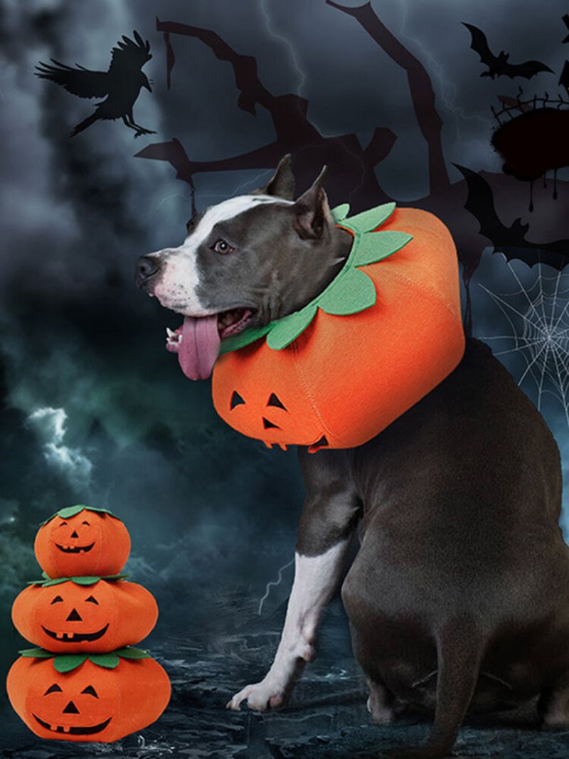 Halloween Pumpkin Dog Dress Up Multifunksjonell Hundehalsbånd Kjæledyr Cat Party Transformation Costume