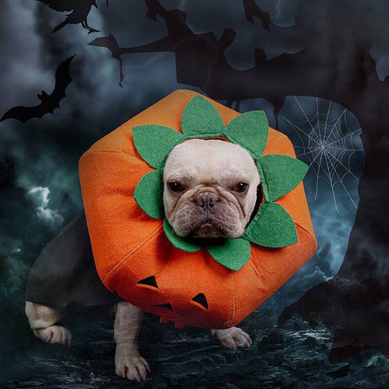 Halloween Pumpkin Dog Dress Up Multifunksjonell Hundehalsbånd Kjæledyr Cat Party Transformation Costume