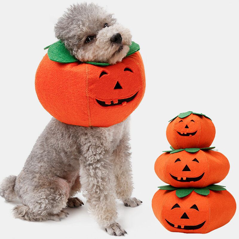 Halloween Pumpkin Dog Dress Up Multifunksjonell Hundehalsbånd Kjæledyr Cat Party Transformation Costume