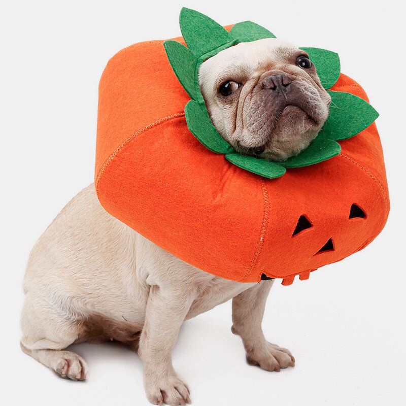 Halloween Pumpkin Dog Dress Up Multifunksjonell Hundehalsbånd Kjæledyr Cat Party Transformation Costume