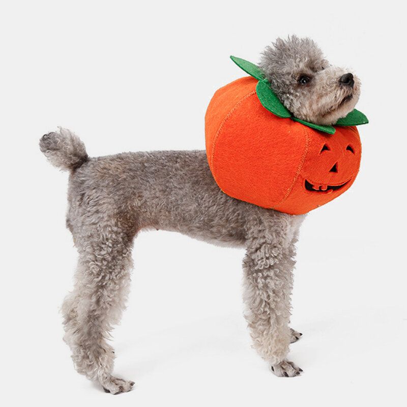 Halloween Pumpkin Dog Dress Up Multifunksjonell Hundehalsbånd Kjæledyr Cat Party Transformation Costume