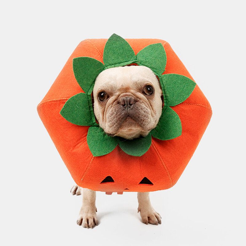 Halloween Pumpkin Dog Dress Up Multifunksjonell Hundehalsbånd Kjæledyr Cat Party Transformation Costume