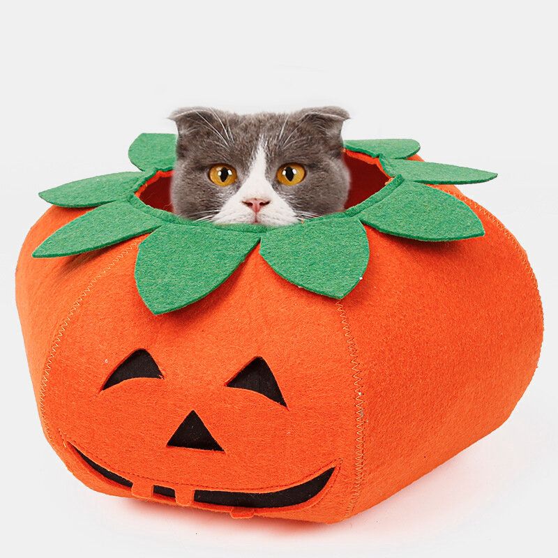 Halloween Pumpkin Dog Dress Up Multifunksjonell Hundehalsbånd Kjæledyr Cat Party Transformation Costume