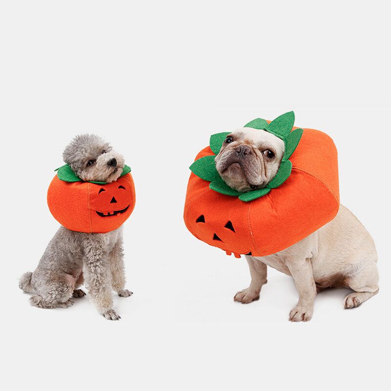 Halloween Pumpkin Dog Dress Up Multifunksjonell Hundehalsbånd Kjæledyr Cat Party Transformation Costume