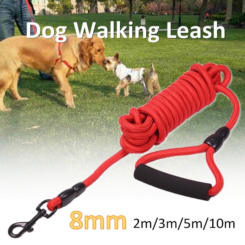 Hunder Leads Walking Leash Outdoor Pet Valp Belte Treningsstropp Halsbånd Tau Rød