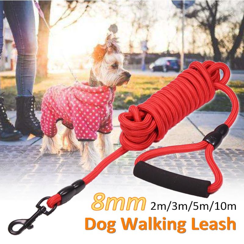 Hunder Leads Walking Leash Outdoor Pet Valp Belte Treningsstropp Halsbånd Tau Rød