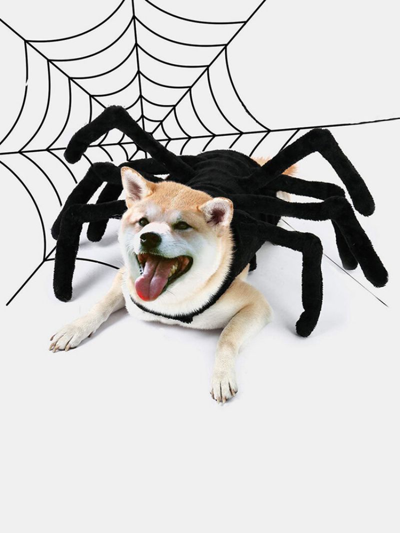 Kjæledyr Halloween Morsom Edderkopp Bryst Rygg Kreativ Katt Hund Liten Transformation Costume