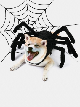 Kjæledyr Halloween Morsom Edderkopp Bryst Rygg Kreativ Katt Hund Liten Transformation Costume