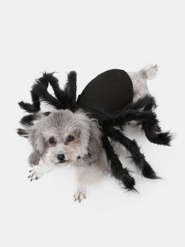 Kjæledyr Halloween Morsomme Edderkoppklær Katt Hund Skrekk Simulering Plysj Edderkopp Transformasjon Festkjole