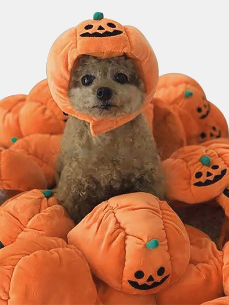 Kjæledyr Halloween Pumpkin Hat Teddy Dress Up Hund Katt Festtilbehør