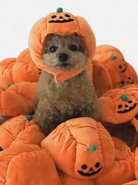 Kjæledyr Halloween Pumpkin Hat Teddy Dress Up Hund Katt Festtilbehør