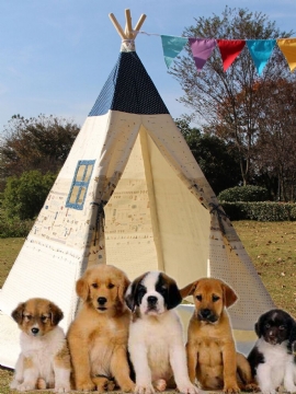 Large Kids Pet Teepee Canvas Leketelt Tipi Outdoor Beige Med Polstret Gulvmatte