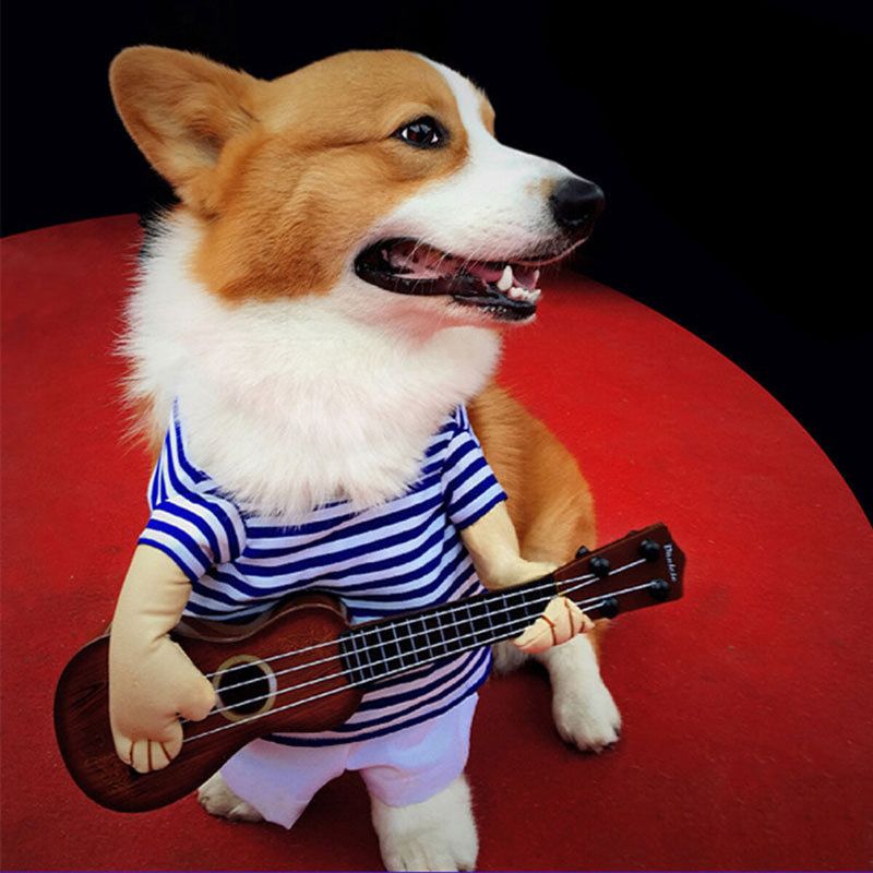 Liten Stor Kjæledyr Hundekostymer Gitarspiller Kåper Klær Fest Cosplay