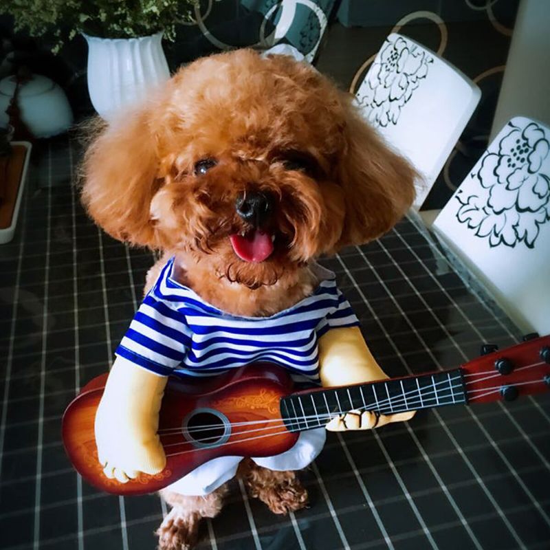 Liten Stor Kjæledyr Hundekostymer Gitarspiller Kåper Klær Fest Cosplay