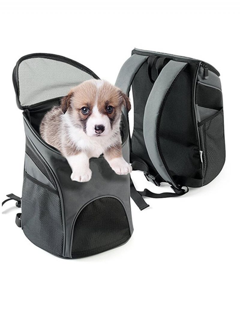 Pet Carrier Premium Travel Outdoor Mesh Ryggsekk Bæreveske Tilbehør Hund Katt Kanin Små Kjæledyr Bur