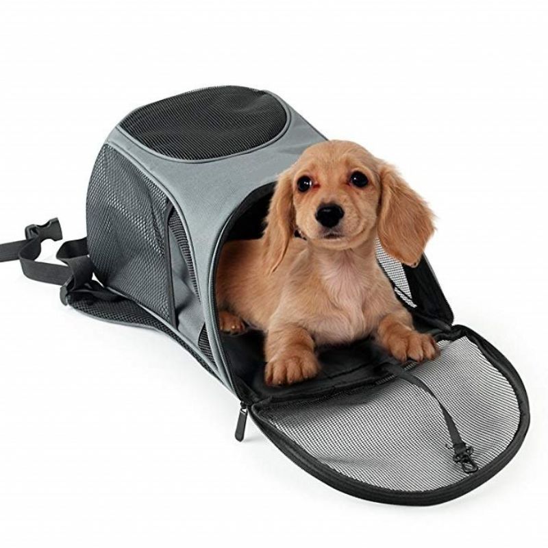 Pet Carrier Premium Travel Outdoor Mesh Ryggsekk Bæreveske Tilbehør Hund Katt Kanin Små Kjæledyr Bur