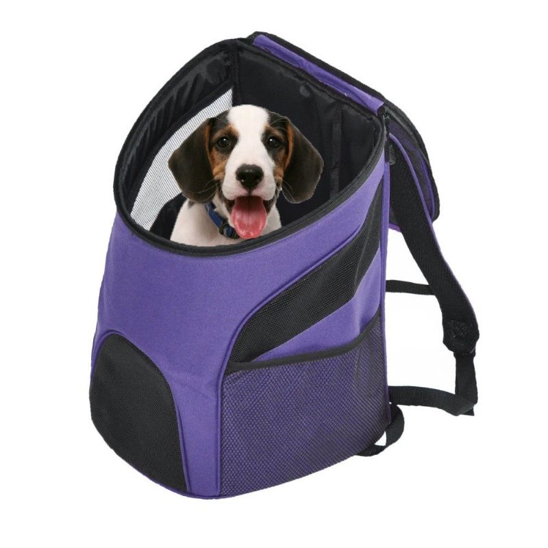 Pet Carrier Premium Travel Outdoor Mesh Ryggsekk Bæreveske Tilbehør Hund Katt Kanin Små Kjæledyr Bur