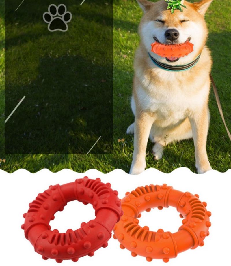 Pet Interactive Dog Toy Molar Bite Ring Hundeleke