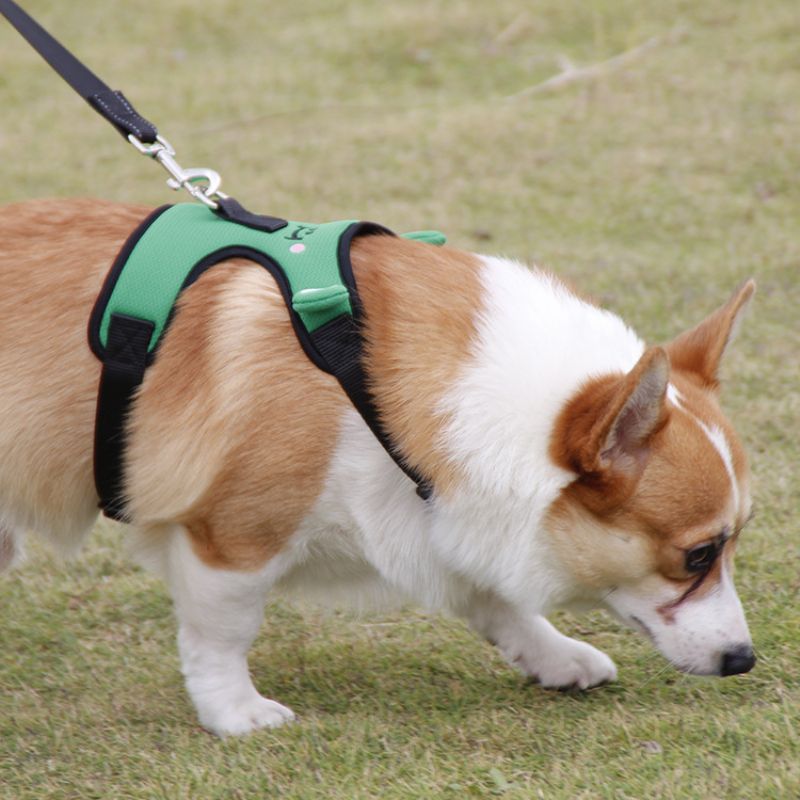 Søt Frog Dog Bryststropp Corgi Fight Traction Vest For Kjæledyr