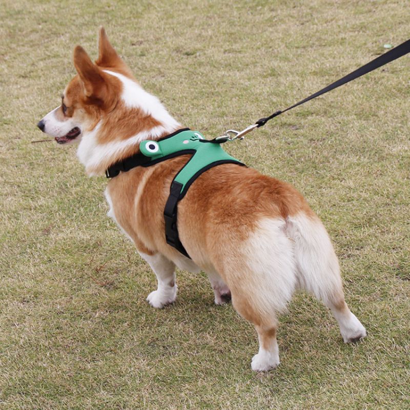 Søt Frog Dog Bryststropp Corgi Fight Traction Vest For Kjæledyr