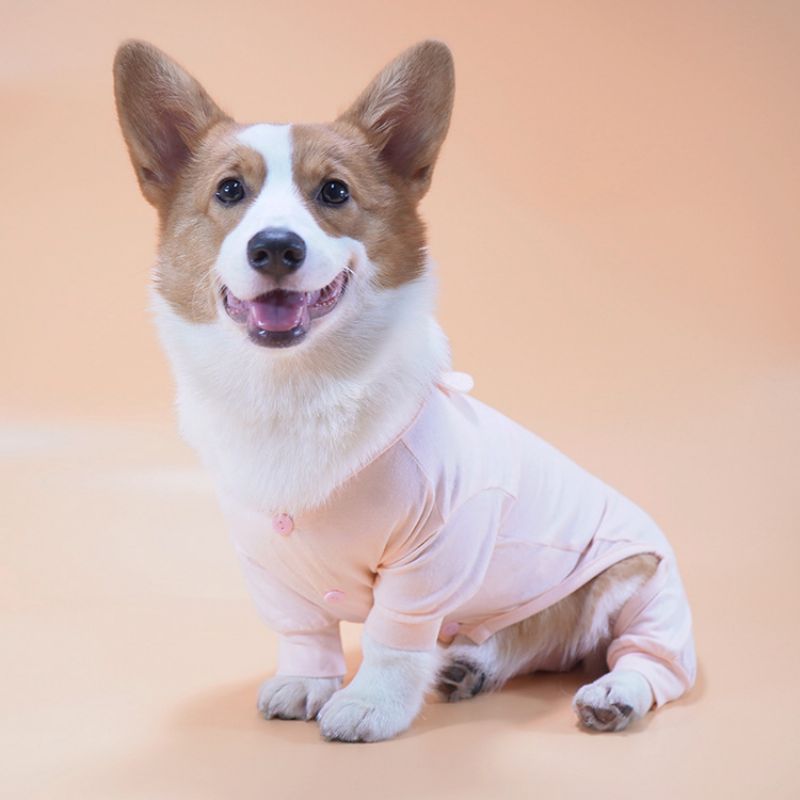 Stretch Søt Kjæledyrpyjamas For Små Og Mellomstore Hunder Hjemmeklær Alt Inkludert Anti-hår Corgi-klær