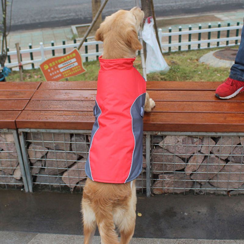 Vanntett Hundevalpejakke Vest Vinter Varm Kjæledyrfrakk Klær Ropa Para Perros Hundeklær M~3xl