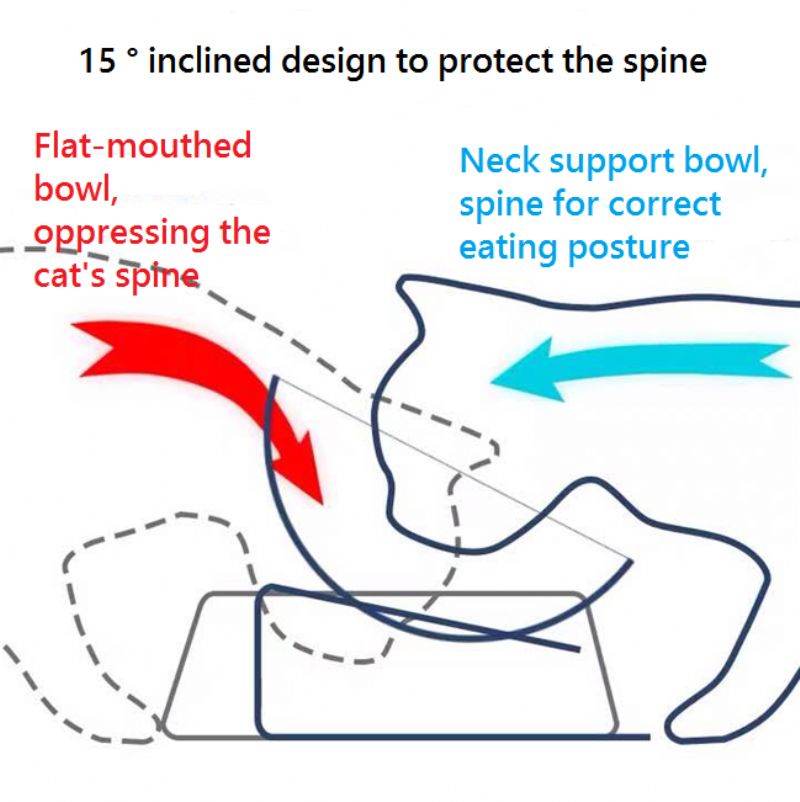 Cat Bowl Protection Cervical Spine Skrå Munn Single Kattematskål Tilt Cat Pet