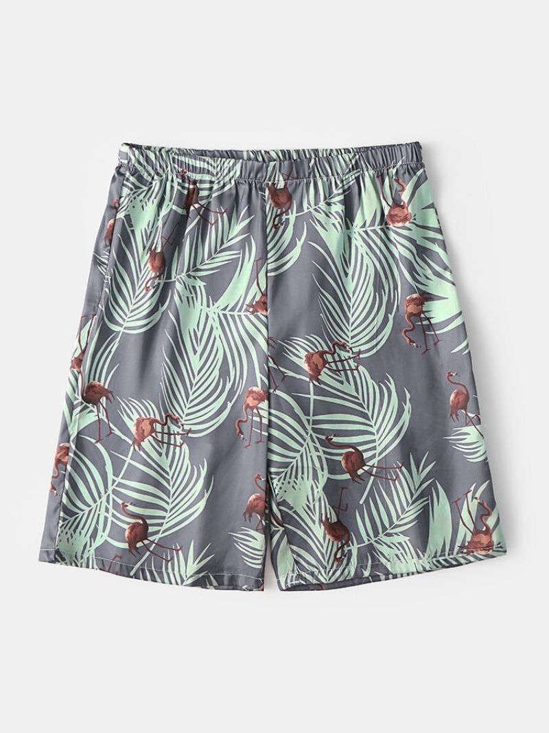 Menn Sommer Tropical Pattern Sleep Shorts Tynn Flamingo Og Plants Print Home