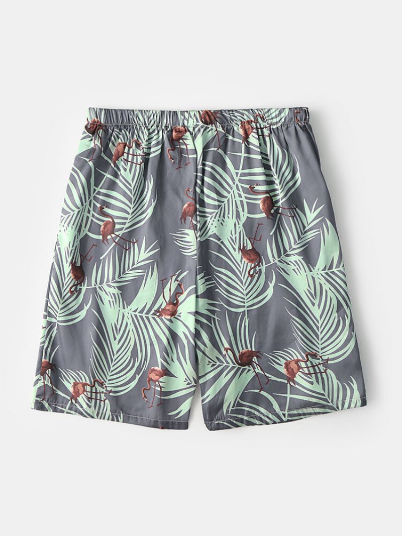 Menn Sommer Tropical Pattern Sleep Shorts Tynn Flamingo Og Plants Print Home