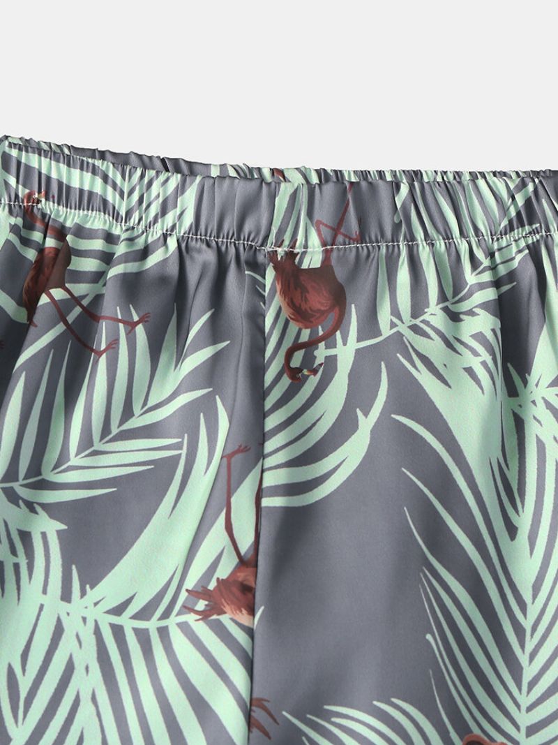 Menn Sommer Tropical Pattern Sleep Shorts Tynn Flamingo Og Plants Print Home