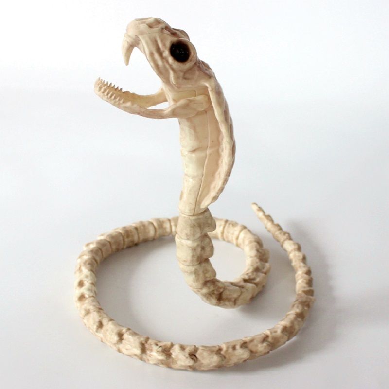 Skjelett Cobra Snake Bone Haunted House Decoration Bendable Body