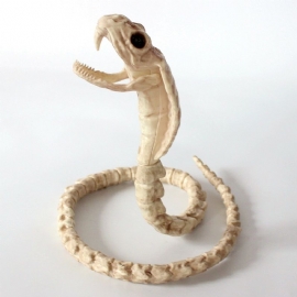 Skjelett Cobra Snake Bone Haunted House Decoration Bendable Body