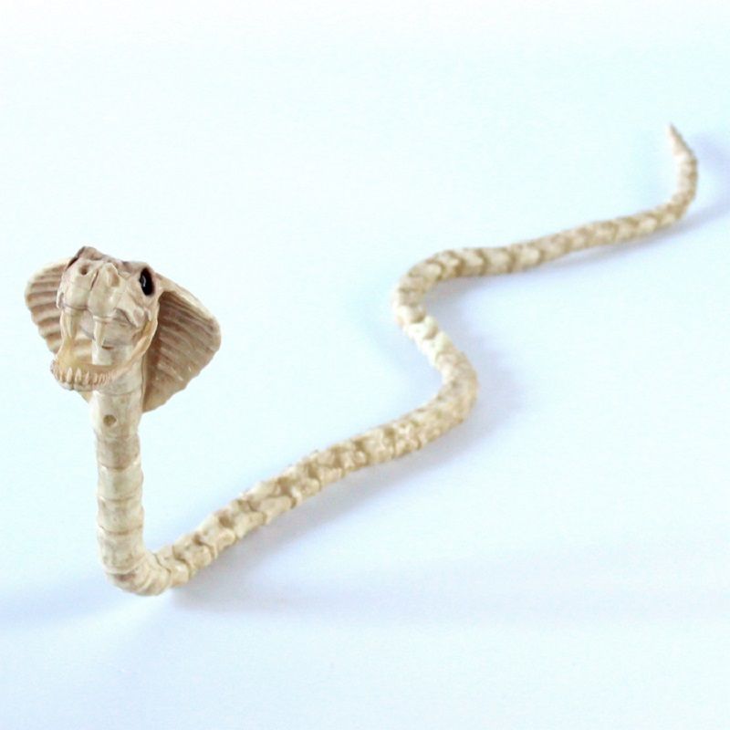 Skjelett Cobra Snake Bone Haunted House Decoration Bendable Body