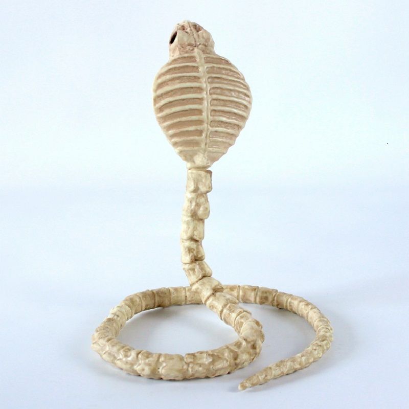 Skjelett Cobra Snake Bone Haunted House Decoration Bendable Body