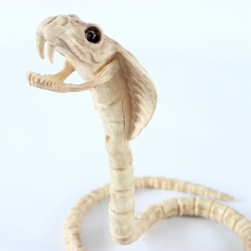 Skjelett Cobra Snake Bone Haunted House Decoration Bendable Body