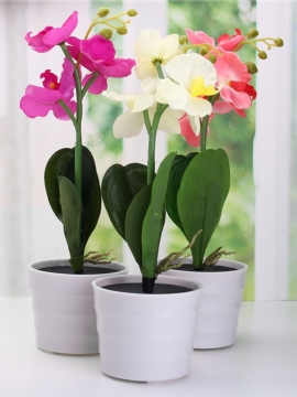 3led Solcelledrevet Phalaenopsis Blomsterstake Hagegårdslys Landskap Utendørsdekor