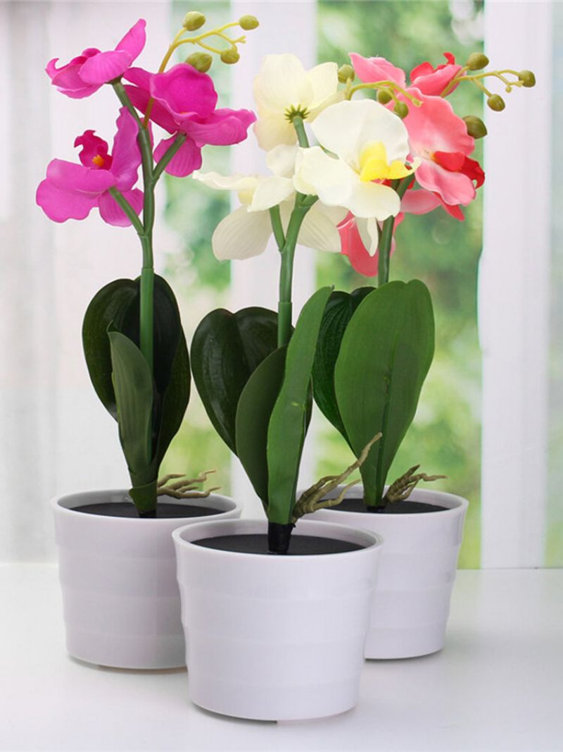 3led Solcelledrevet Phalaenopsis Blomsterstake Hagegårdslys Landskap Utendørsdekor