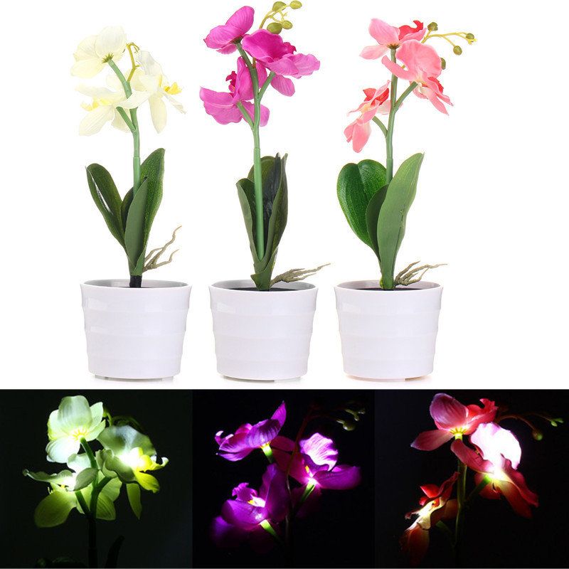 3led Solcelledrevet Phalaenopsis Blomsterstake Hagegårdslys Landskap Utendørsdekor