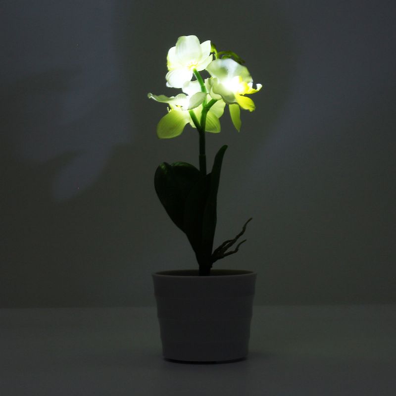 3led Solcelledrevet Phalaenopsis Blomsterstake Hagegårdslys Landskap Utendørsdekor