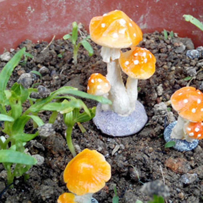 Mini Mushroom Paddehatt Hage Ornamenter Ideell For Plantepotter Fairy Hagedekorasjon