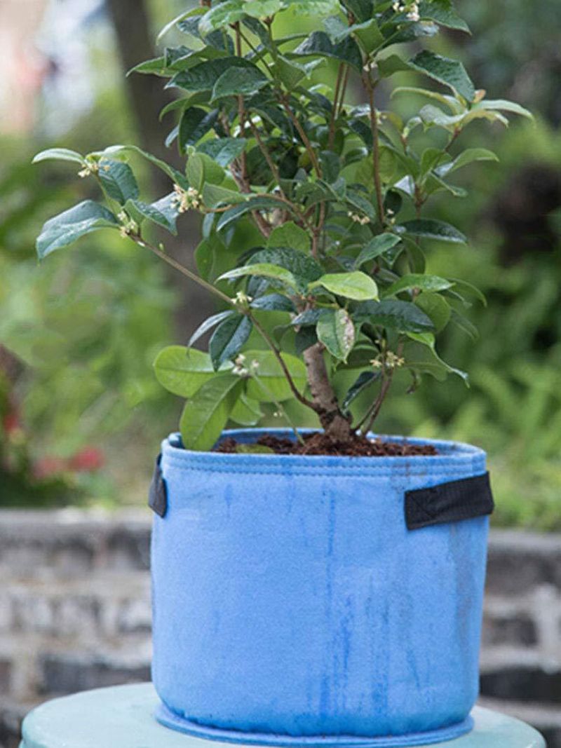 Potetvekstposer Stoffbeholdere Barnehagepotter Plante Blomster Grønnsaker